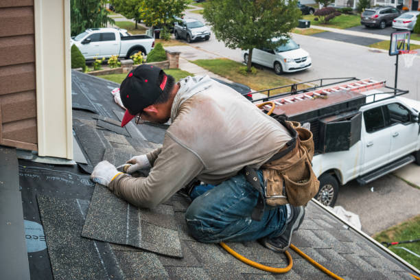 Professional Roof Leak Repair technician working in Lee Center, IL